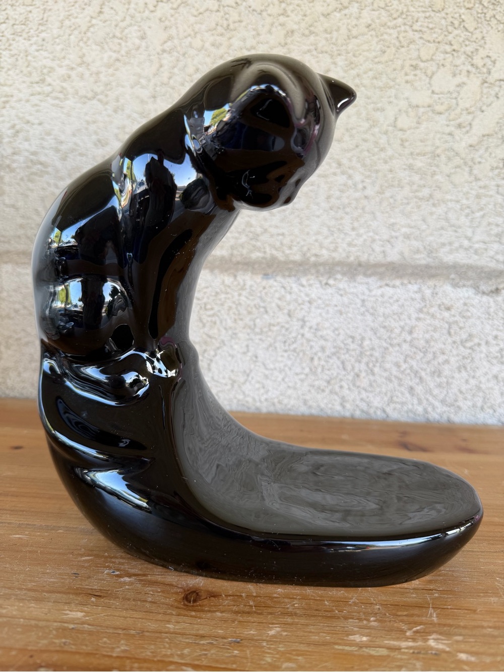 Black glossy cat